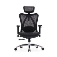 Sihoo M57 Ergonomic Office Chair