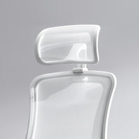 Flexispot Sheer Chair