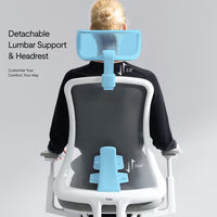 Flexispot Sheer Chair