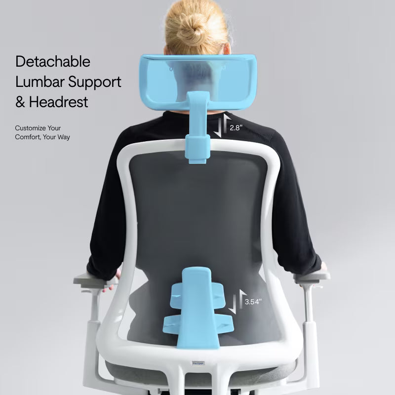 Flexispot Sheer Chair