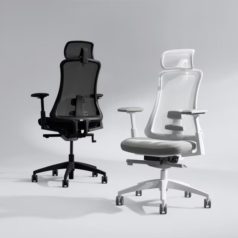 Flexispot Sheer Chair