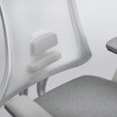 Flexispot Sheer Chair