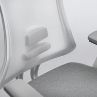 Flexispot Sheer Chair