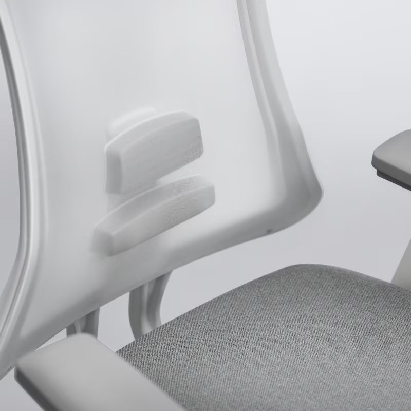 Flexispot Sheer Chair