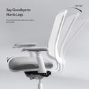 Flexispot Sheer Chair