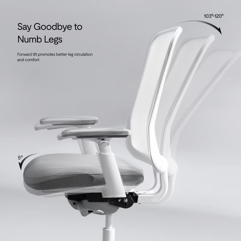 Flexispot Sheer Chair