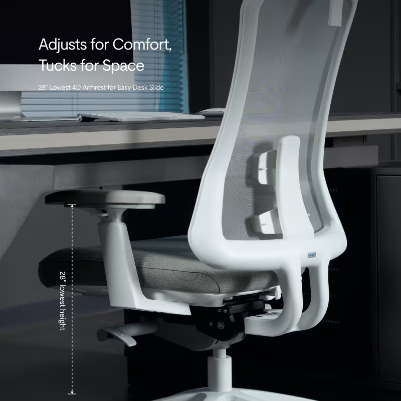 Flexispot Sheer Chair