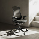 Flexispot Sheer Chair