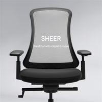 Flexispot Sheer Chair
