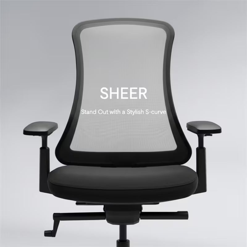Flexispot Sheer Chair