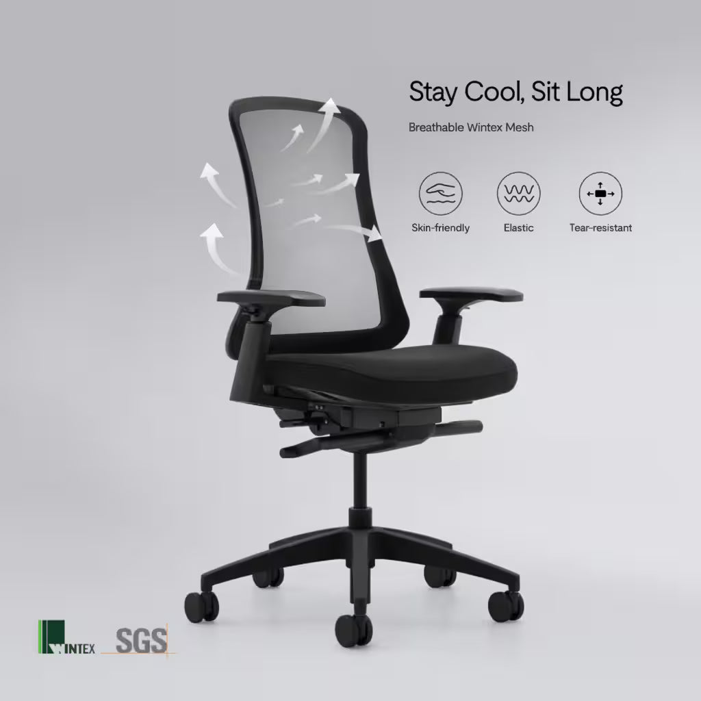 Flexispot Sheer Chair