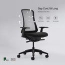 Flexispot Sheer Chair