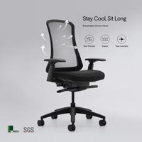 Flexispot Sheer Chair