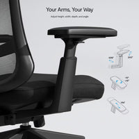 Flexispot Sheer Chair