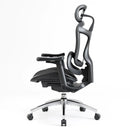 Sihoo C300 Ergonomic Office Chair
