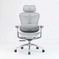 Sihoo C300 Ergonomic Office Chair