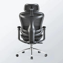 Sihoo C300 Ergonomic Office Chair