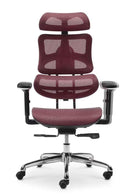 Neva Elder Chair