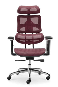 Neva Elder Chair
