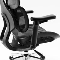 Sihoo S100 Chair ( Pre-book )