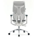 Sihoo S100 Chair ( Pre-book )