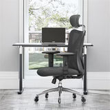 Sihoo M18 Ergonomic Office Chair