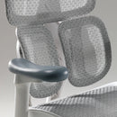 Sihoo S100 Chair ( Pre-book )