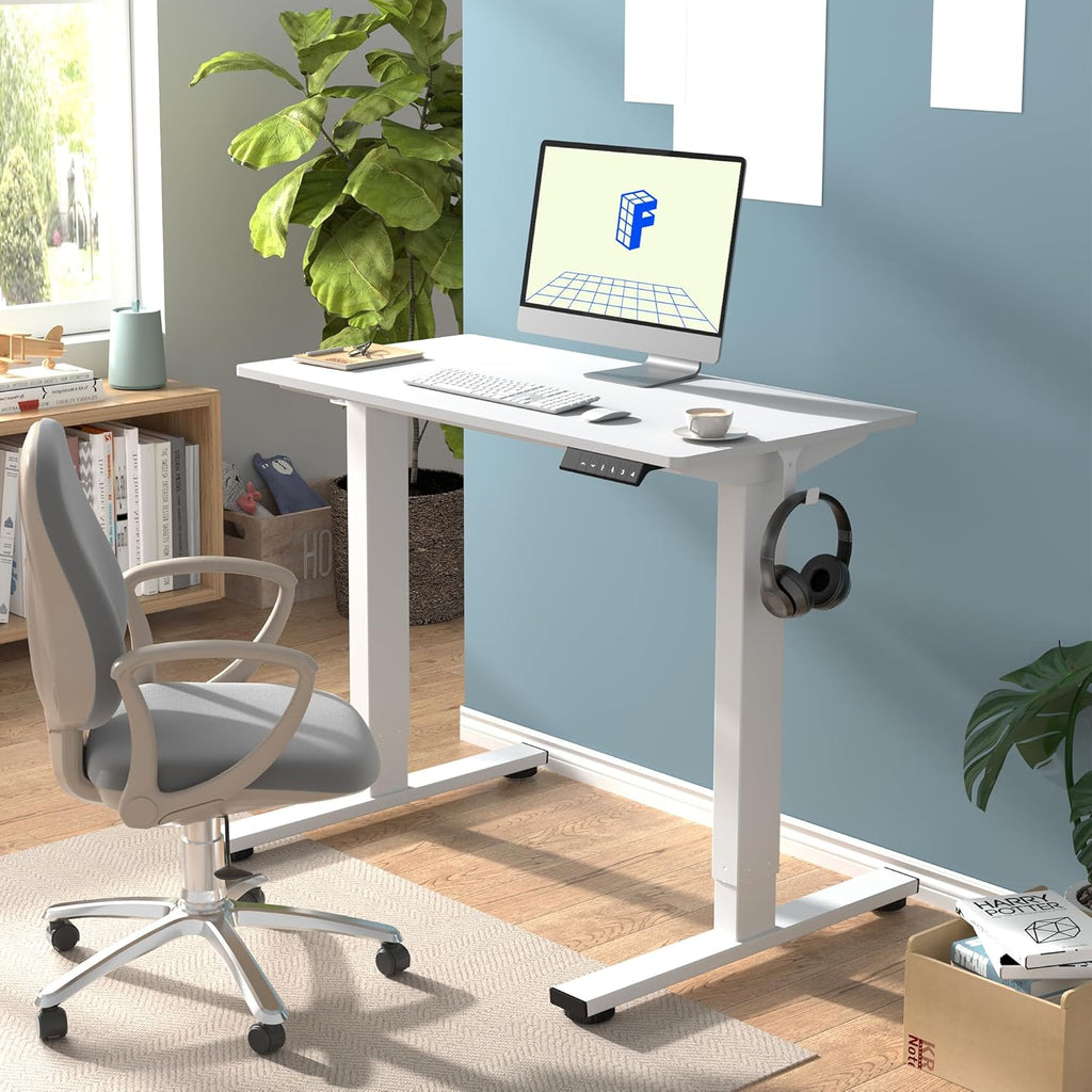 Neva X FlexiSpot Standing Desk ( Single Motor )