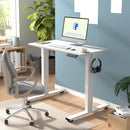 Neva X FlexiSpot Standing Desk ( Single Motor )