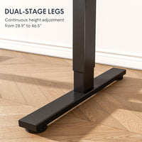 Neva X FlexiSpot Standing Desk ( Single Motor )