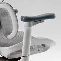 Sihoo S100 Chair ( Pre-book )