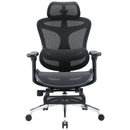 Sihoo C300 Ergonomic Office Chair