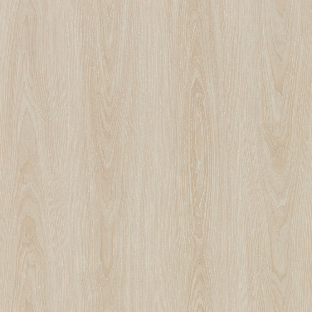 Neva X FlexiSpot Standing Desk ( Single Motor )