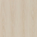 Neva X FlexiSpot Standing Desk ( Single Motor )