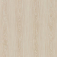 Neva X FlexiSpot Standing Desk ( Single Motor )