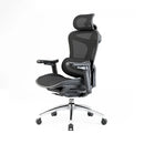 Sihoo C300 Ergonomic Office Chair