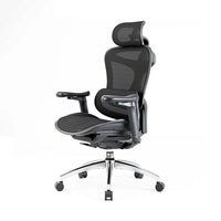 Sihoo C300 Ergonomic Office Chair