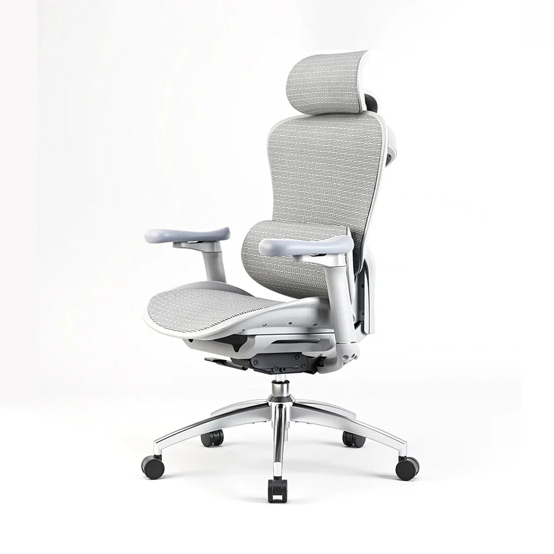 Sihoo C300 Ergonomic Office Chair