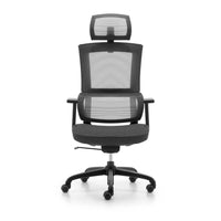 Neva Paramount Chair