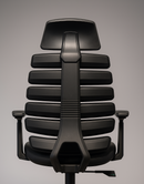 Ergo Chair
