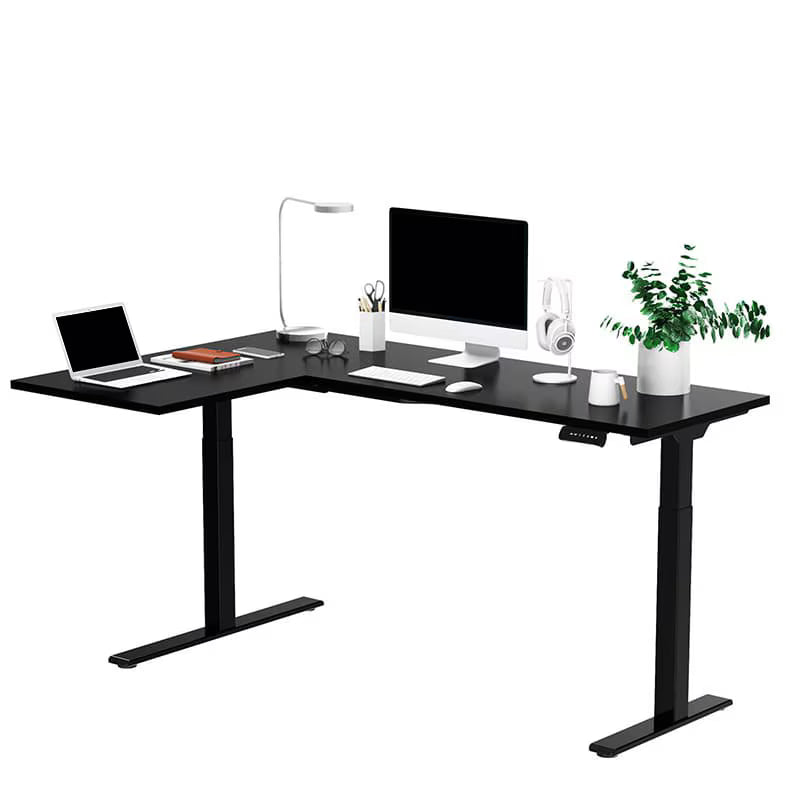 Neva X FlexiSpot L shape Standing Desk