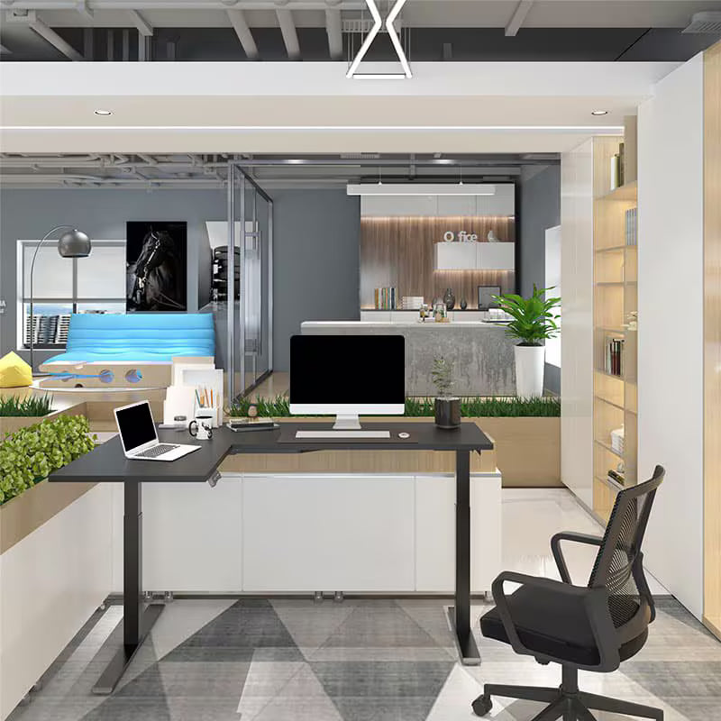 Neva X FlexiSpot L shape Standing Desk