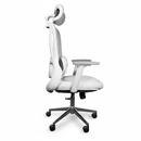 Neva Ignite Chair