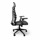 Neva Ladder Chair