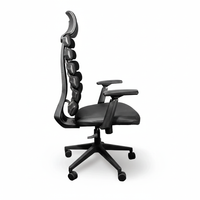 Neva Ladder Chair
