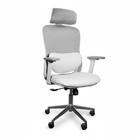 Neva Ignite Chair