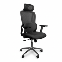 Neva Ignite Chair