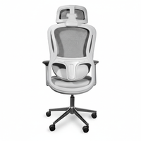 Neva Ignite Chair