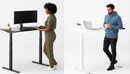 Neva Elevating Desk (Single Motor)