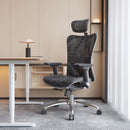 Sihoo M57 Ergonomic Office Chair